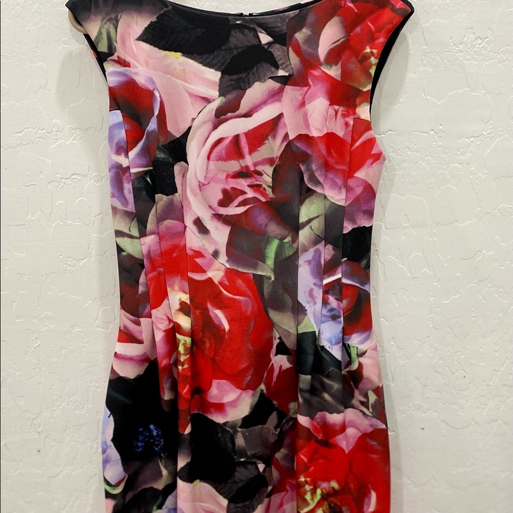 Vance Camuto Rose Dress